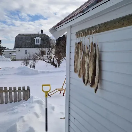 Roligheten In * Andenes