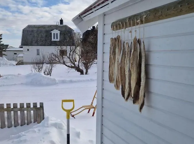 Roligheten In * Andenes